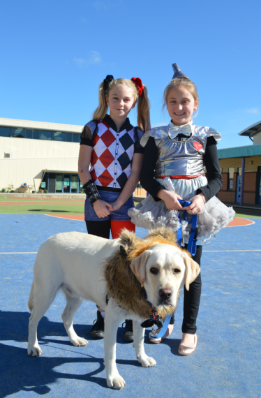 /uploaded_files/media/gallery/1505621295Asha Website 2.PNG